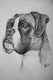 A5 Boxer Drawing Dog Sketch Boxer Dog Tattoo Animal Drawings