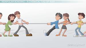 She meant that her traders disliked the issue so much that they would try to sell bonds as soon as the issue was launched, in the hope that they might buy them back cheaper later. Nonpolar Covalent Bond Definition Examples Video Lesson Transcript Study Com