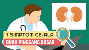 Cari tahu gejala, pengobatan, dan cara mengatasi nyeri pinggang sakit pinggang atau flank pain adalah salah satu jenis masalah pada sistem muskuloskeletal. 7 Simptom Gejala Buah Pinggang Rosak Youtube
