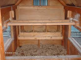 Interior Layout Of A Chicken Coop Chicken Coop Int In 2020 Building A Chicken Coop Nesting Boxes Coop Plans
