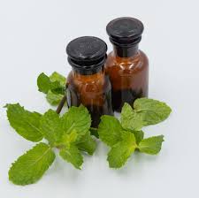 Image result for Peppermint Oil
