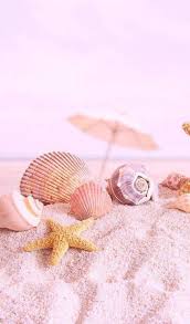 The most common seashells wallpaper material is vinyl. Pin By Clausen Florida Vacations On Seashells Summer Wallpaper Pink Wallpaper Backgrounds Beach Wallpaper