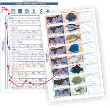 Fish Id Log Pages Indian Ocean And Red Sea For 3 Ring Binders
