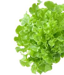 Maybe you would like to learn more about one of these? Destin Grocery Delivery Destin Florida