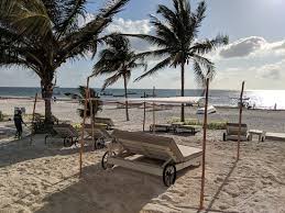 I cut 8 pieces at 3.5″ and put a good amount of wood glue on the center of each 2×4 piece. The Wheels Make The Beds Much Easier To Move Beach Is Really Deep Bild Von Kai Tulum Hotel Tripadvisor