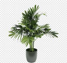 We did not find results for: Houseplant Tree Soil Plant Leaf Artificial Flower Palm Tree Png Pngwing