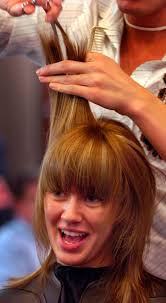 Horace Maynard/Union County High School through the years