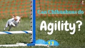 Image result