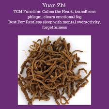 Image result for Polygala schinziana