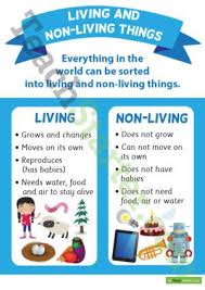 Living And Non Living Things Poster Science Bulletin