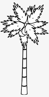 The files you receive are 12 inch x 12 inch. Simple Black And White Tree Palm Clipart Black And White Transparent Png 999x1906 Free Download On Nicepng