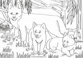 The australian dingo coloring pages. Dingo Colouring Page