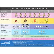 Breastfeeding Your Baby Guidelines For Nursing Mothers