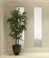 Black Bamboo Plants For Sale Black Bamboo Artificial Plants Decor Artificial Plants Indoor Indoor Plants