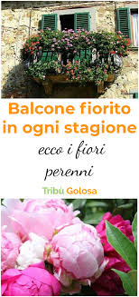 Fiori da esterno in vaso perenni missionmeltdown com. Balcone Fiorito In Ogni Stagione Ecco I Fiori Perenni Piante Da Balcone Giardino Sempreverde Fiori Da Balcone
