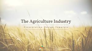 Hallo, ich hab bei powerpoint ein bild als hintergrund, wie kann ich zuerst das bild bei der präsentation zeigen, dann wenn ich ich habe das bild schon im hintergrund und den text drauf, aber man kann die schrift in keiner farbe darauf lesen. The Agriculture Industry Background Powerpoint