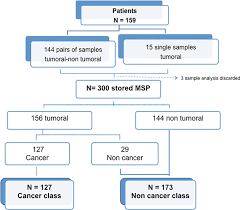 Flow Chart For Classification Of Samples And For Msp Class