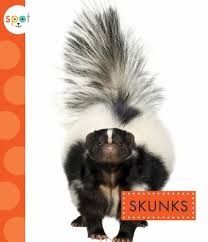 Skunks by Wendy Strobel Dieker, Paperback