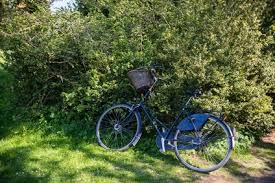 Fahrrad Gefunden Was Tun Allgemein Ratgeber Blog
