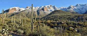 The santa catalina mountains, commonly referred to as the catalina mountains or the catalinas, are north and northeast of tucson in arizona, united states, on tucson's north perimeter. 214 Best Santa Catalina Mountains Images Stock Photos Vectors Adobe Stock