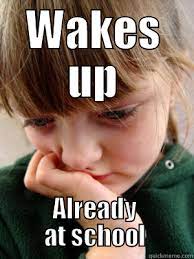 Pin By Nicole On Homeschool Humor Homeschool Memes Homeschool Humor Homeschooler Problems