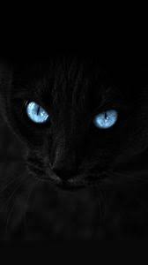 Black Iphone 8 7 6s 6 For Parallax Wallpapers Hd Desktop Backgrounds 938x1668 Images And Pictures