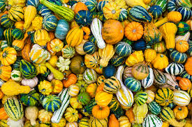 Please help i can't open the pages link and i need this asap :| (a) describe one example of how social structures affected a state's ability to maint … ain order in settlements in the. Decorative Gourds Post Halloween Decor Preservation Tips