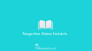 Hormon adalah senyawa protein atau senyawa steroid yang mengatur proses fisiologis tubuh. Pertanyaan Tentang Sistem Endokrin Guruakuntansi Co Id