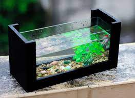 Sebaiknya gunakan magnet kaca/magnet pembersih aquarium yang bisa kamu beli dan tanyakan di toko ikan hias atau hewan peliharaan, serta di toko toko online. Cara Merawat Aquarium Bagi Pemula Airnya Bersih Dan Ikannya Sehat