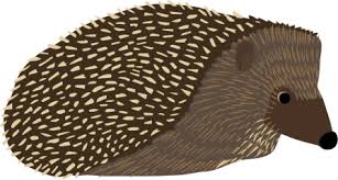 These pests do not eat the leaves but only pierce the tissues of the plant and feed on its juices. What To Feed Hedgehogs And Badgers The Wildlife Trusts