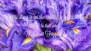 Falkenberry, mark jason (w/ male / dob: Iris Flower Quote Beach Towel For Sale By Susan Garren