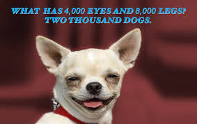 The problem with trouble shooting is that trouble shoots back. 60 Clean Dog Jokes For Kids Weird World