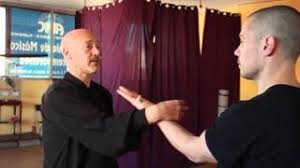 Resultado de imagen de sifu jesus carballo