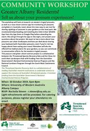The possums are sometimes called common brushtail possums. Events City Of Albany