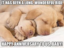 Happy anniversary meme for wife: Funny Happy Anniversary Messages For All