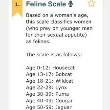 Feline Scale Funny Definition Words Feline