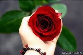 The Best Beautiful Flowers Pic For Whatsapp Dp And Review In 2020 Beautiful Flowers Pictures Cute Flower Images Flower Pictures
