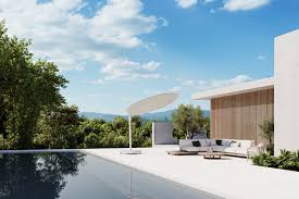 Image result for Nidorella umbrosa