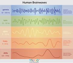 A Deep Dive Into Brainwaves Brainwave Frequencies Explained