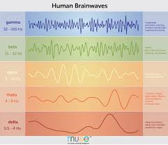 a deep dive into brainwaves brainwave frequencies explained