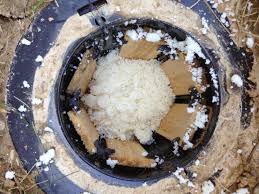 They provide exterminator services, bug spraying, animal proofing and more. Termite Control Termite Bait Termites Termite Pest Control