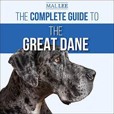 More images for great dane breeder colorado » Amazon Com The Great Dane Puppy Handbook A Complete Guide To The First Year Audible Audio Edition Zach Reed Zach Reed Whistle Media Llc Audible Audiobooks