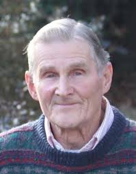 Obituary for Lothar R. Schlesiger