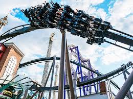 Image result for Grona