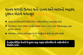 Corona vaccination for all adults hindi news from navbharat times, til network. Surat Municipal Corporation