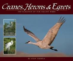 Check spelling or type a new query. Amazon Com Cranes Herons Egrets The Elegance Of Our Tallest Birds Wildlife Appreciation 9781591935841 Tekiela Stan Books