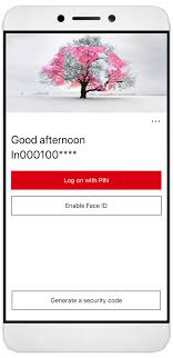You can make payments to credit cards issued by hsbc bank armenia. Hsbc Mobile Banking Services Ways To Bank Hsbc In