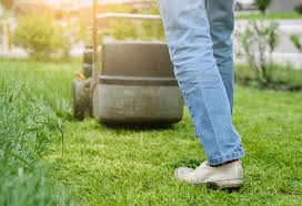 Getting one of the best lawn mowers for small yards will cut down on the effort you need to put in and will make your life easier. Best Lawn Mowers For A Small Yard 2021 Guide To Small Yard Mowers
