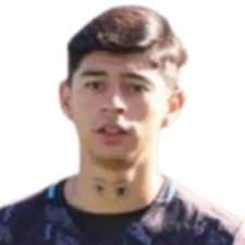 Estadísticas Andrés Becerra, Tigres de Álica