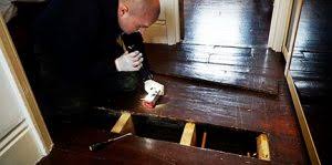 We offer same day, monthly. Eradicate The Vermin With Fantastic Pest Control In St Albans